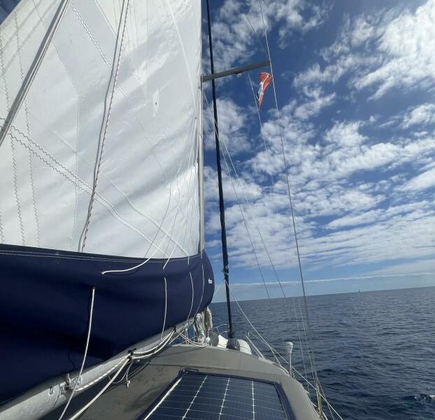 1982 Morgan Out Island in vendita (photo 9)