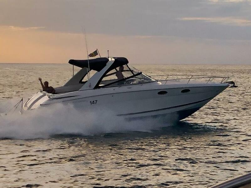 2011 Regal 3350 en venta (photo 1)