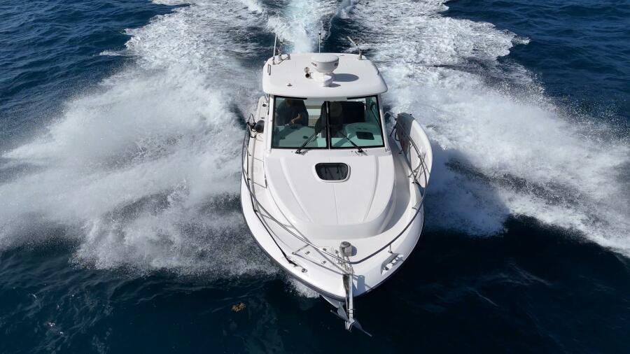 2013 Boston Whaler Conquest 315 en venta (photo 8)