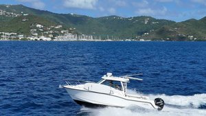 Boston Whaler Conquest 315