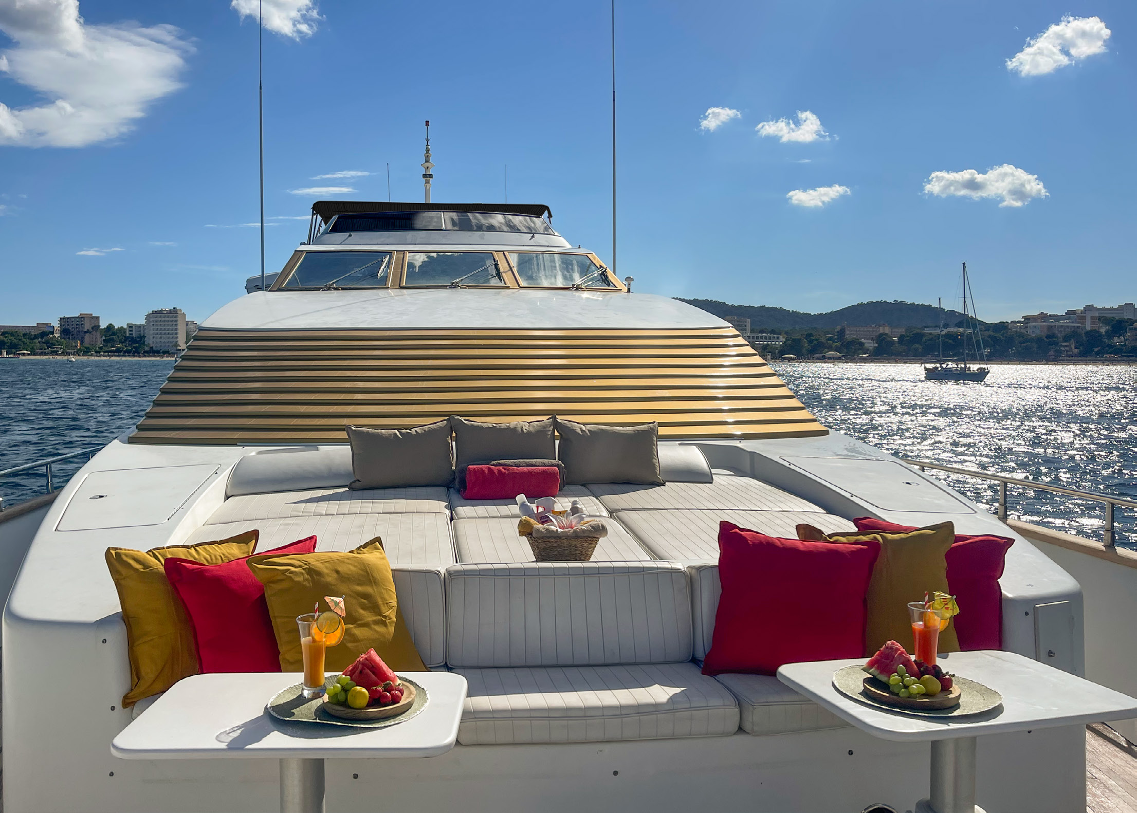 2001 Falcon Yachts Falcon 100 en alquiler (photo 14)