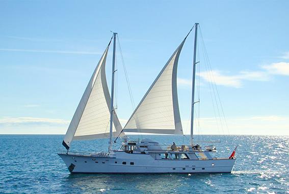 1972 Van Voorten Columbus of Lymington zu verkaufen (photo 32)