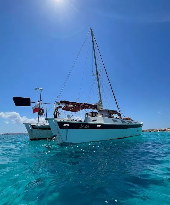 2011 Wharram Tangaroa 36 zu verkaufen (photo 3)