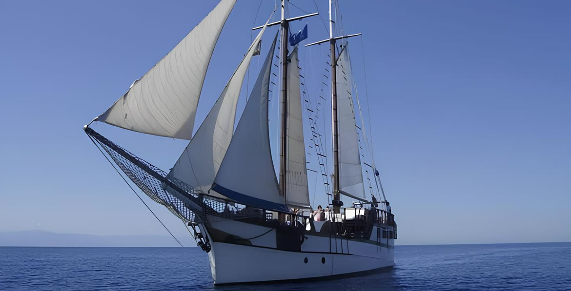 1901 Veliero Sigismondo Sigismondo for charter (photo 25)